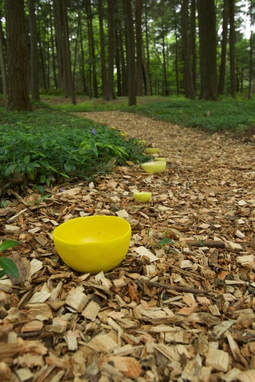 Yellow Bowls at The Mount